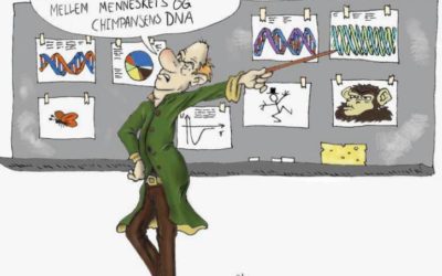 Vi har 99% DNA til fælles med chimpanserne!