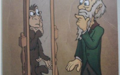 Darwinbogen samlede noter