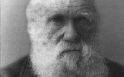 Nutidens populære billede af Darwin
