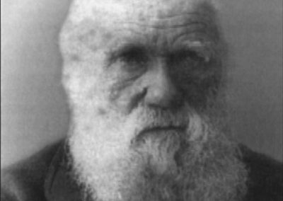 Nutidens populære billede af Darwin