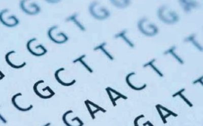 Fælles DNA-sekvenser