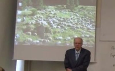 Pekka Reinikainen