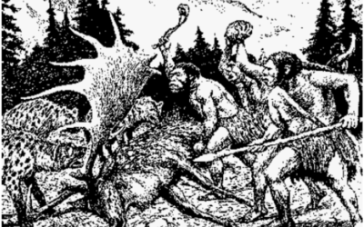 Hvad med neandertalerne?