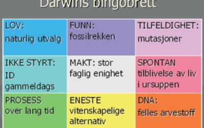 Darwins bingobrett
