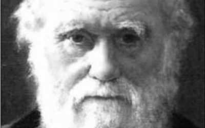 Gud og Darwin I