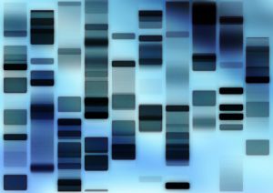 Hvilken informasjon får vi fra “Genetisk tomgods”?