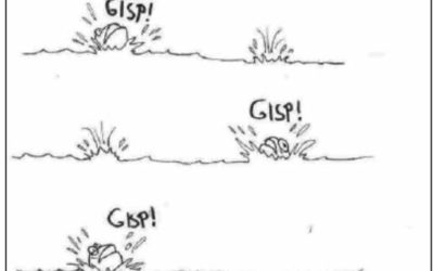 Darwin for dummies: Fra finner til fødder
