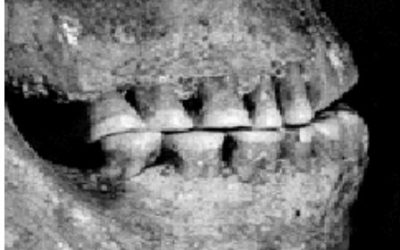 Neandertaleren – menneske eller dyr?