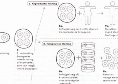 Kloning af menneskeliv