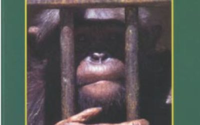 Evolutionslåset