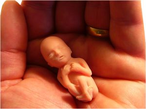 Etiske problemer med manipulation af menneskelige fostre