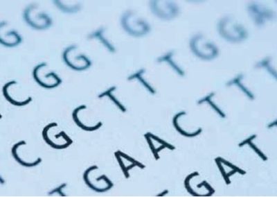 Fælles DNA-sekvenser