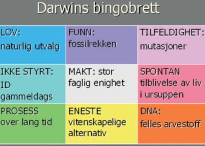Darwins bingobrett